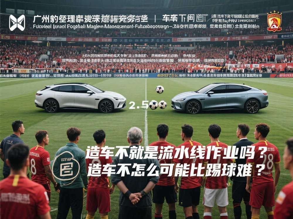 关注战术的球迷